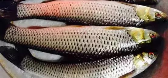 海南热带风情,无限商机等你来探索