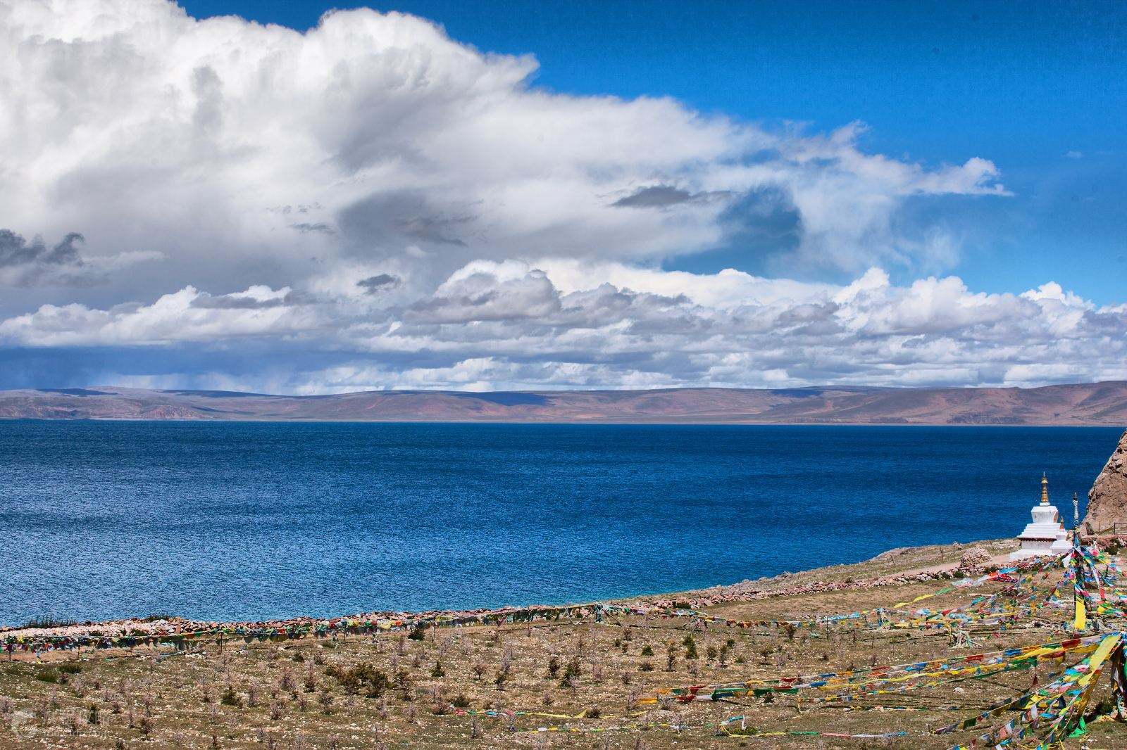 高原科技新纪元,西藏智能生活伴侣引领探索之旅